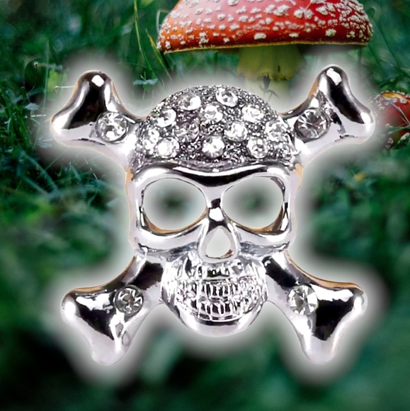 Silver plated crystal skull and crossbone necklace/brooch with gold chain - Picture 16 of 16